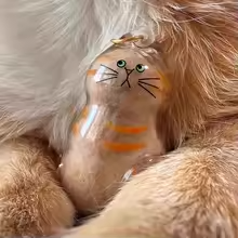 けだま入れ　チャトラ  猫の毛保存容器猫型キーリング　キーホルダー 猫型キーリング 携帯 持ち歩き 猫 遺毛 ケース メモリアルグッズ