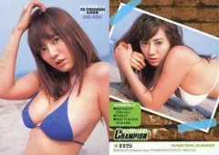 【中古】コレクションカード(女性) 115 ： 海江田純子/2005 YC PREMIUM CARD 2005年20号 特典