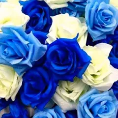 特別オーダー2点セット