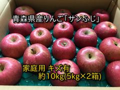青森県産りんご「サンふじ」家庭用 キズ有 約10kg(5kg×2箱)【産地直送・光センサ選果】