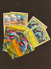 ポケモンカード　メガフシギバナex  フシギソウ　フシギダネ 各2枚