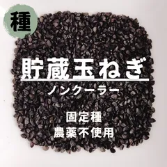 【種】タマネギ　ノンクーラー　農薬不使用　60粒のサムネイル