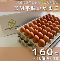 平飼い卵  沖縄の日差しを浴びてのびのびとすごす鶏のＥＭ平飼いたまご160個+10個割れ保障