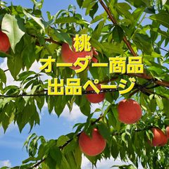 桃　オーダー専用ページ　ゆうぞら　3L2箱のサムネイル