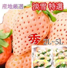 淡路島 熊本 特選品【白いちご 淡雪】L~3L熊本県産 1箱2パック入