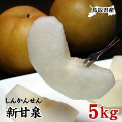 ☆8月下旬～9月上旬より収穫次第予約順に発送☆鳥取県産 新甘泉(5ｋｇ箱8-18玉入)【訳あり自家用】果物なしナシ梨新5
