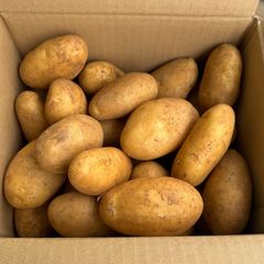 新物!! 2025年 新じゃが 鹿児島県産 箱込約3kg以上 メークイン 野菜ソムリエ