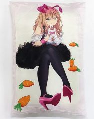 魔法少女まどか☆マギカ アニくじ A賞 ビッグクッション 鹿目まどか