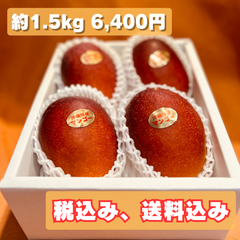アーウィン秀品 4〜5玉 約1.5kg