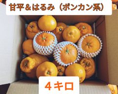 愛媛県産　甘平＆はるみ（ポンカン系）セット