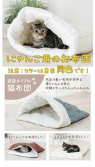 Item thumbnail for item 5123692e-49f1-46e8-991e-de383ad532a7