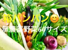 明日採りたて野菜を60サイズ一杯にします 無農薬