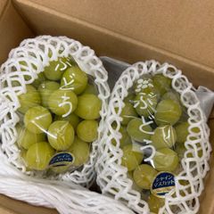 静岡県産シャインマスカット　大房大つぶ2房　1.3kg  お中元　贈答用