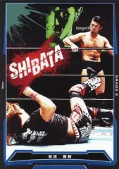 【中古】キング オブ プロレスリング BT16-037[C]：[コード保証無し]柴田勝頼