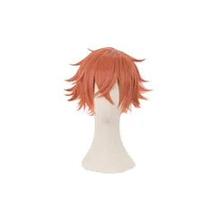 だい 出品 ウィッグオーダー エース・トラッポラ 71aaHoUIy0L._AC_UL210_SR210,