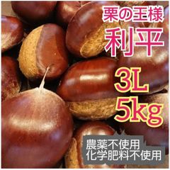 北海道 沖縄 配送不可】栗の王様 利平栗 朝採直送 3L 特大 3kg 北海道 沖縄 配送不可】栗の王様 利平栗 朝採直送 3L 特大 3kg