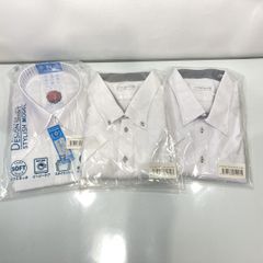 Item thumbnail for item 2f1a038a-d63e-4752-b808-0db294d6b364