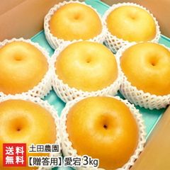 【贈答用】和梨 愛宕3kg