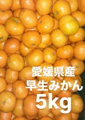 愛媛県産　早生みかん　みかん　柑橘　5kg