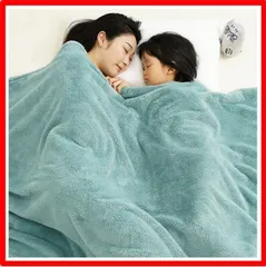 2024年最新】ひな暖 毛布の人気アイテム - メルカリ