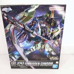 【未組立品】ガンプラ FM 1/100 フォビドゥンガンダム ○YR-53746○