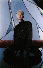 SEVENTEEN Spider HOSHI トレーディングカード 25