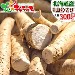 北海道産 山わさび (生/300g～450g/常温) ご飯のお供 わさび ワサビ 山わさび 山ワサビ 山葵 西洋わさび 西洋ワサビ ホースラディッシュ 根わさび 根ワサビ ご自宅用 ご家庭用 お家用 北海道 北海道直送 グルメ お取り寄せのサムネイル