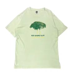ノースフェイス TNF Print Tee ロゴＴシャツ The North Face Mサイズ NT32806
