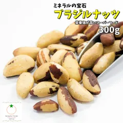 ブラジルナッツ 300g 生タイプ 無添加・無塩 ジャングルナッツ ミネラルの宝石 メール便発送