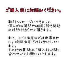 ご購入前にお読みください。