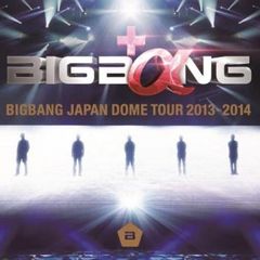 BIGBANG JAPAN DOME TOUR 2013~2014 LIVE CD 2CD[CD, 음악 중고 CD]렌탈 떨어짐