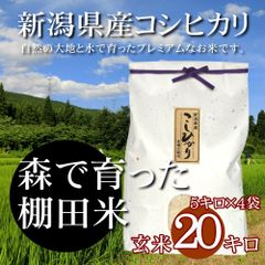 新潟米コシヒカリ 玄米 20kg（5kg×4袋）雲龍和紙 新潟産こしひかり 産地直送 お祝い、ギフト、贈答に ご自宅、ご家庭、お弁当にも 新米 