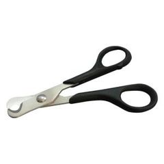 Item thumbnail for item 7a830eff-3726-45ed-8c09-7c6b3ca0326e