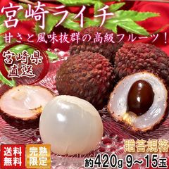 9.a5 様専用 鹿児島県産 島津佐多ライチ特注品(大) 農薬不使用 - メルカリ