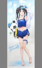 [중고] 태피스트리 유키노시타 유키노 신작 거의 등신대 태피스트리 목욕 오르기 ver