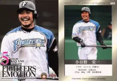 小谷野栄一選手着用オーダースパイク 小谷野栄一選手着用オーダースパイク 小谷野栄一選手着用