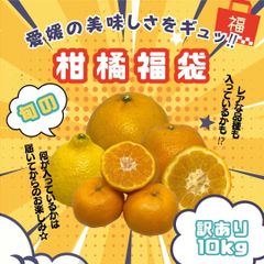 【超お買い得】愛媛県産　訳あり　柑橘詰め合わせ　１０ｋｇ補償有