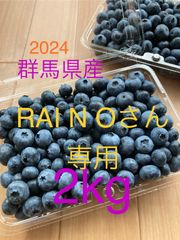 ブルーベリーさん専用 【公式通販】