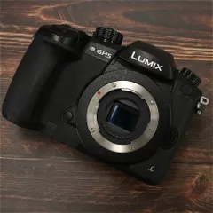 【動作確認済み】Panasonic LUMIX GH5 本体 現状品／ジャンク Panasonic LUMIX DC-GH5 Camera Body Used Tested Japan