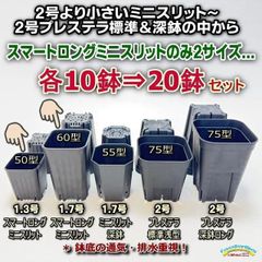 2号より小さいミニスリット～2号プレステラ75標準＆深鉢の中からスマートロングミニスリットのみ2サイズ50型・60型各10鉢⇒合計20鉢セット＊多肉植物・塊根植物コーデックス・アガベ・サボテン・ハオルチア・アデニウム・パキポディウム・実生＠フラワーショップ江口