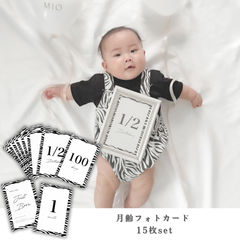 【はがきサイズ】 ハガキ ゼブラ ゼブラ柄 マンスリーカード 月齢フォトカード 赤ちゃん お七夜 命名書 100日祝い バースデー ハーフバースデー