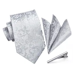 [HISDERN] [ヒスデン] 結婚式 ペイズリー ネクタイチーフ セットメンズ フォーマル シルバー ネクタイ 3点セット 紳士用 入学式 卒業式 プレゼント TF2014A8S3