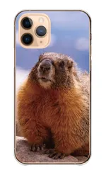 AQUOS R3 SH-04L SHV44 808SH ケース カバー アクオスR3 スマホケース ハードケース マーモット まーもっと 叫ぶ 動物 あにまる 癒し 可愛い かわいい 写真 山脈 リス科 カラー03