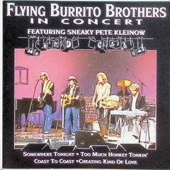 In Concert / フライング・バリット・ブラザーズ (CD)