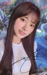 【中古】コレクションカード(女性) TWICE/ツウィ/下部印刷サイン入り/CD「MORE ＆ MORE」付属フォトカード