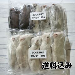 爬虫類のエサ　国産冷凍ラット　100〜119g 10匹　個包装