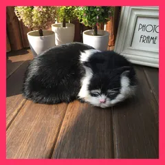 人気商品 猫 動物模型 工芸品 カジュアル 新作 子猫 家の置物 撮影道具 偽物 猫 動物模型 工芸品 カジュアル 新作 子猫 家の置物 撮 猫 動物模型 工芸品 カジュアル 新作 おすすめ おしゃれ　かわいい　人気 N2JY2023112