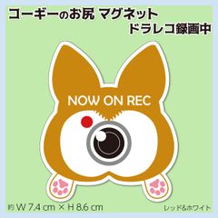 コーギーのお尻マグネット R&W ドラレコ録画中アピール オリジナルデザイン