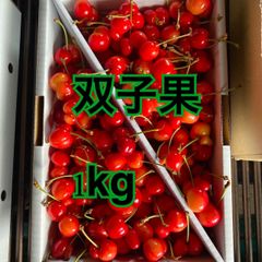東根産　双子さくらんぼ　佐藤錦　家庭用　1kg