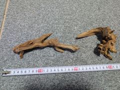 プレミアムルートウッド　流木3　Sサイズ